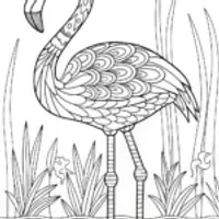 Flamingo philosopher by the riverbank