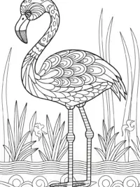 Flamingo philosopher by the riverbank