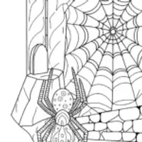 Spider creating a mural in a cave