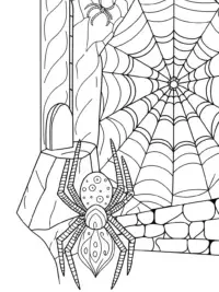 Spider creating a mural in a cave