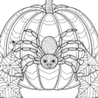 Spider exploring a giant pumpkin