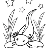 Axolotl’s starry night adventure