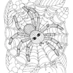 Spider exploring a musical maze