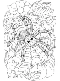 Spider exploring a musical maze