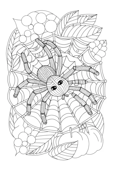 A coloring page of Spider exploring a musical maze