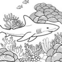 Shark in a coral garden