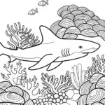 Shark in a coral garden