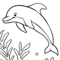 Dolphin underwater adventure