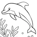 Dolphin underwater adventure