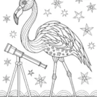 Flamingo astronomer discovering stars