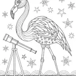 Flamingo astronomer discovering stars