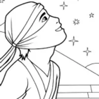 Ninja gazing at the stars