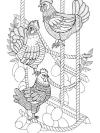 Chickens in a quirky obstacle course
