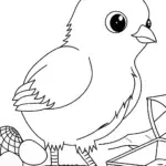 Chick digging for treasures