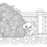 Puppy playing hide and seek