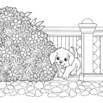 Puppy playing hide and seek