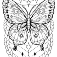 Butterfly weaving a celestial tapestry