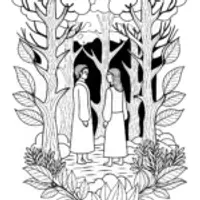 Champions council in the forest