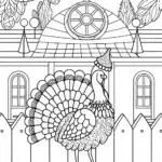 Turkey on a musical journey