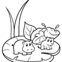 Animals on a floating leaf