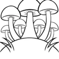 Mushrooms building a sky bridge