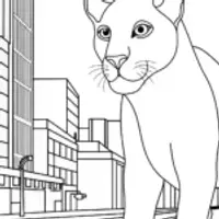 Black Panther in the city