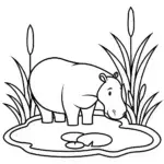 Banban gazing into a pond