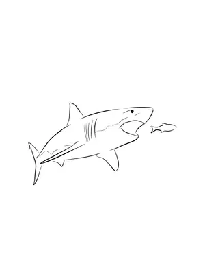 Ocean Shark Hunt Coloring Page coloring pages