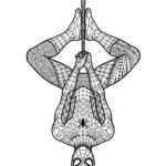 Spiderman’s Upside Down Hang Coloring Page