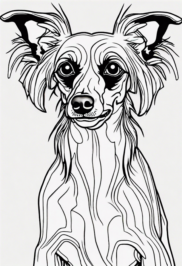 A coloring page of Fluffy Dog Coloring Page