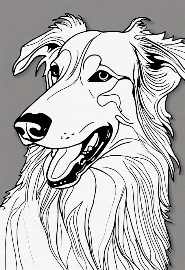 A coloring page of Happy Collie Coloring Page