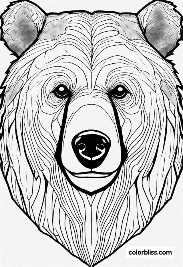 Bear Portrait Coloring Page