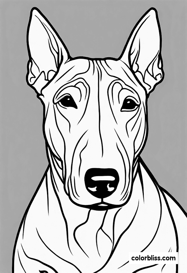 Bull Terrier Coloring Fun