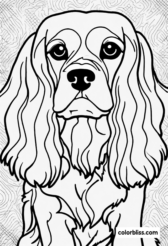 Cavalier King Charles Spaniel Coloring Page