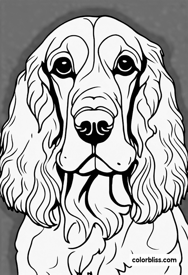 Cocker Spaniel Coloring Page