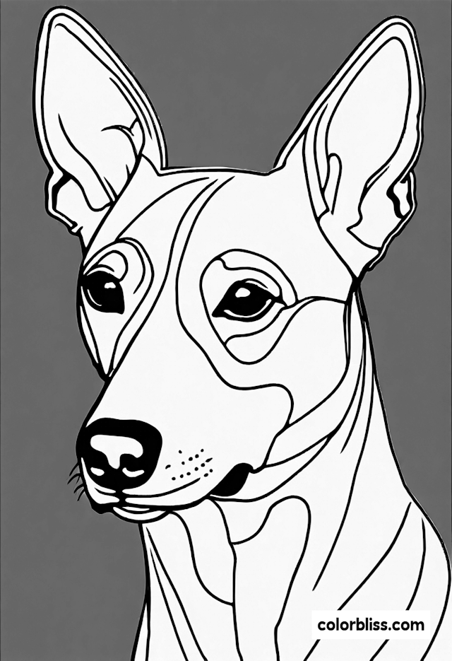 Detailed Basenji