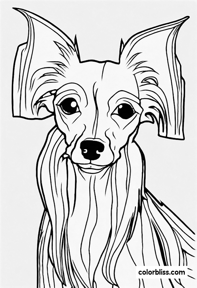 Lovely Long-Haired Dog Coloring Page