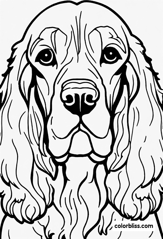 Detailed Cocker Spaniel Coloring Page