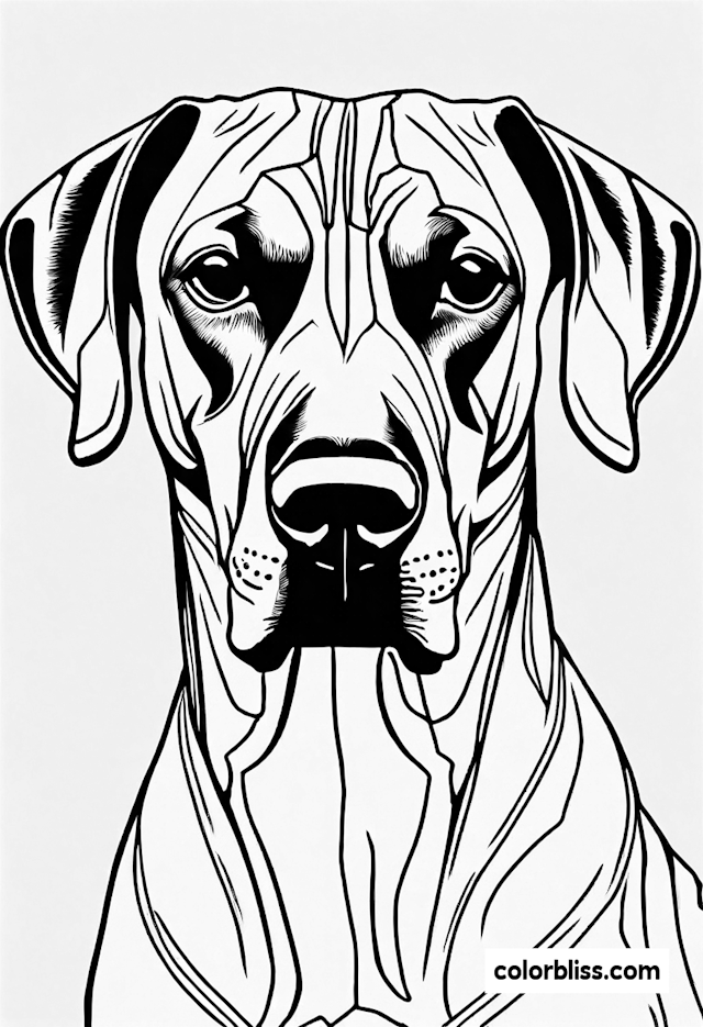 Detailed Rhodesian Ridgeback