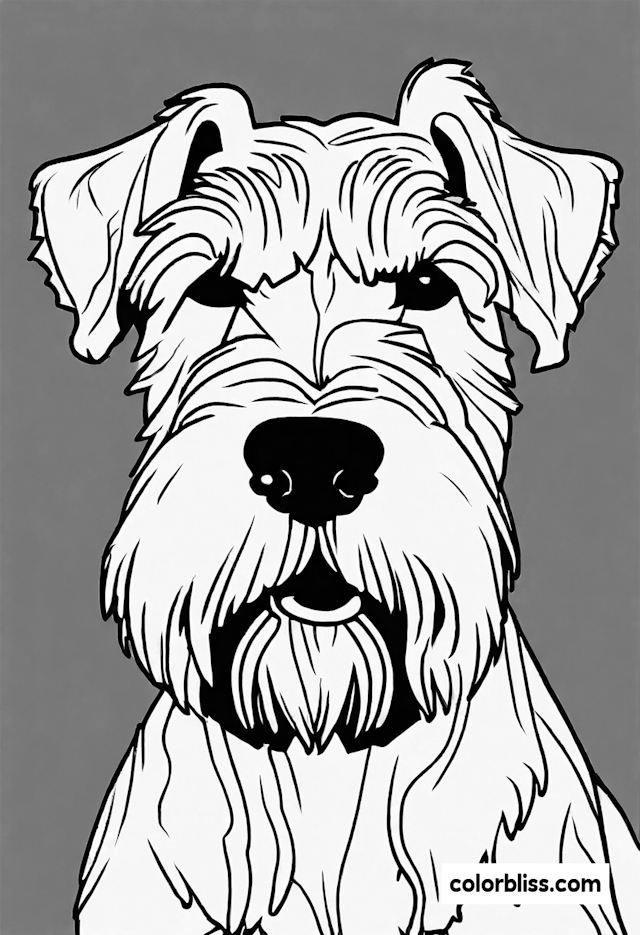 Terrier Dog Coloring Page