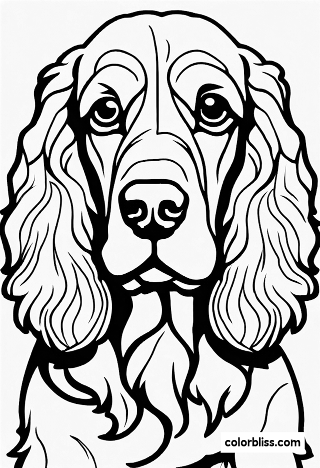 English Cocker Spaniel Coloring Page