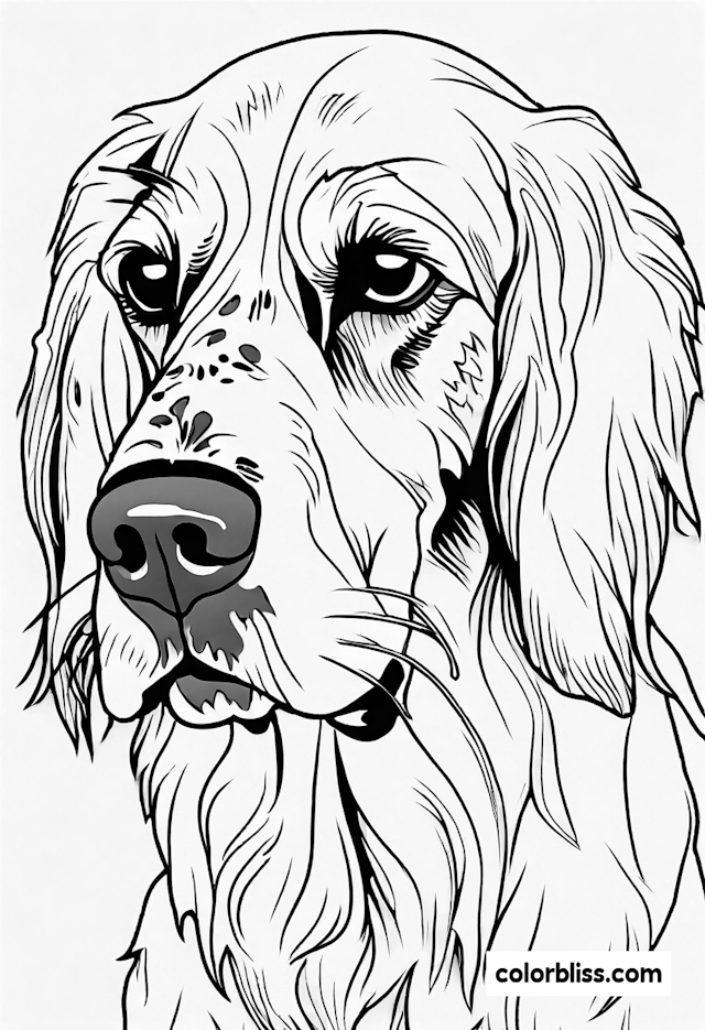 Gentle Golden Retriever Coloring Page