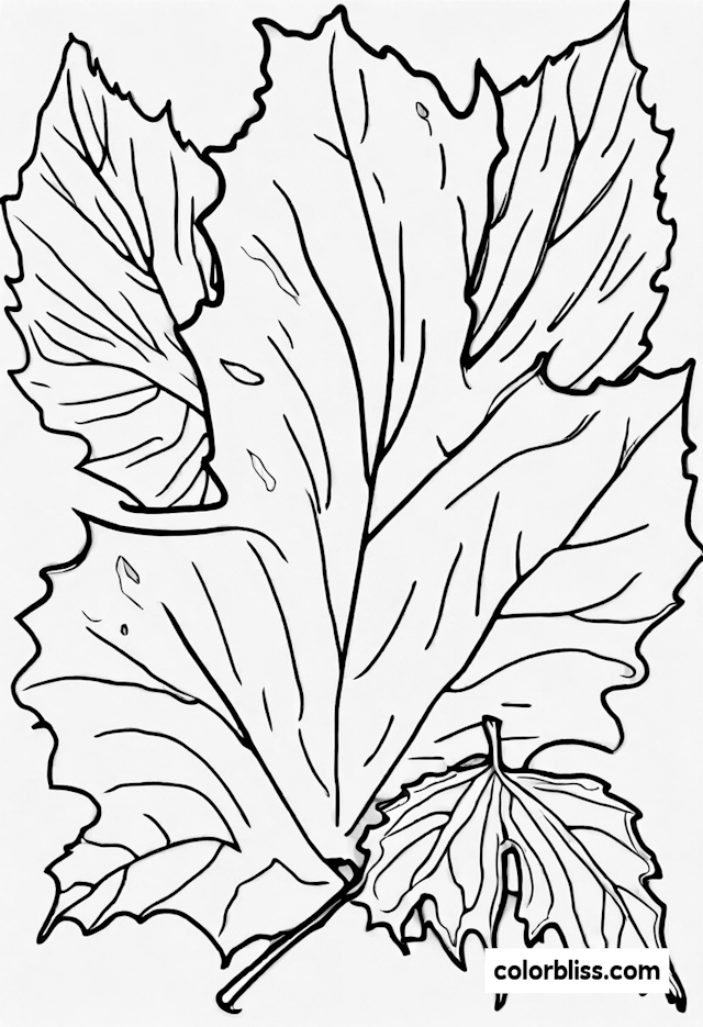 Autumn Leaves Coloring Page