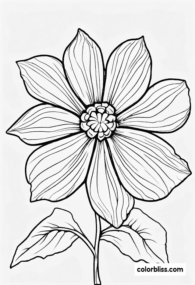 Dazzling Flower Blossom Coloring Page