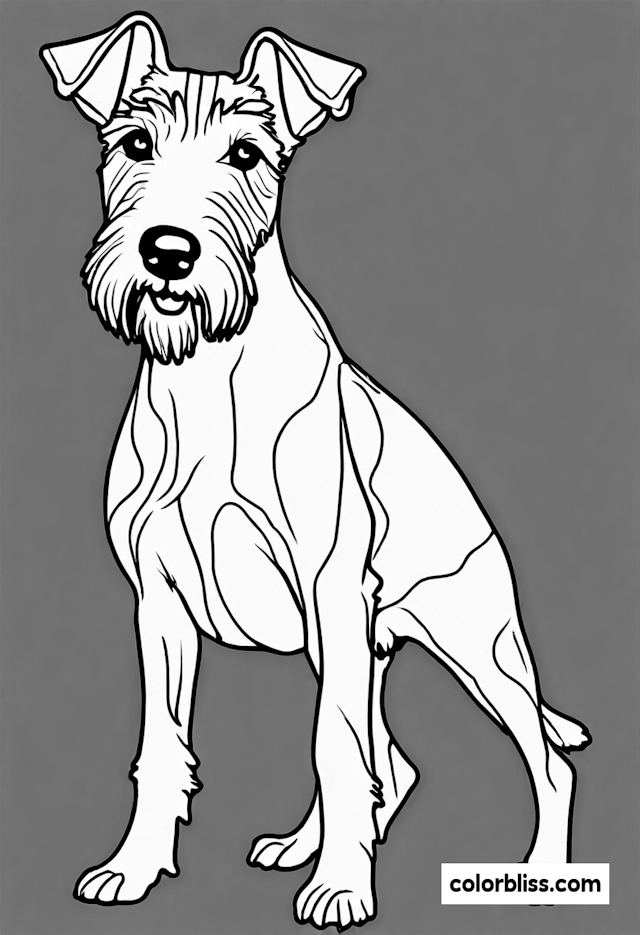 Adorable Schnauzer Coloring Page