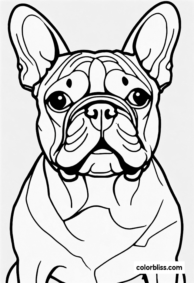 French Bulldog