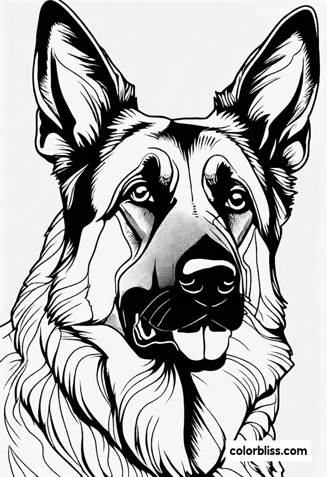 Majestic German Shepherd Coloring Page