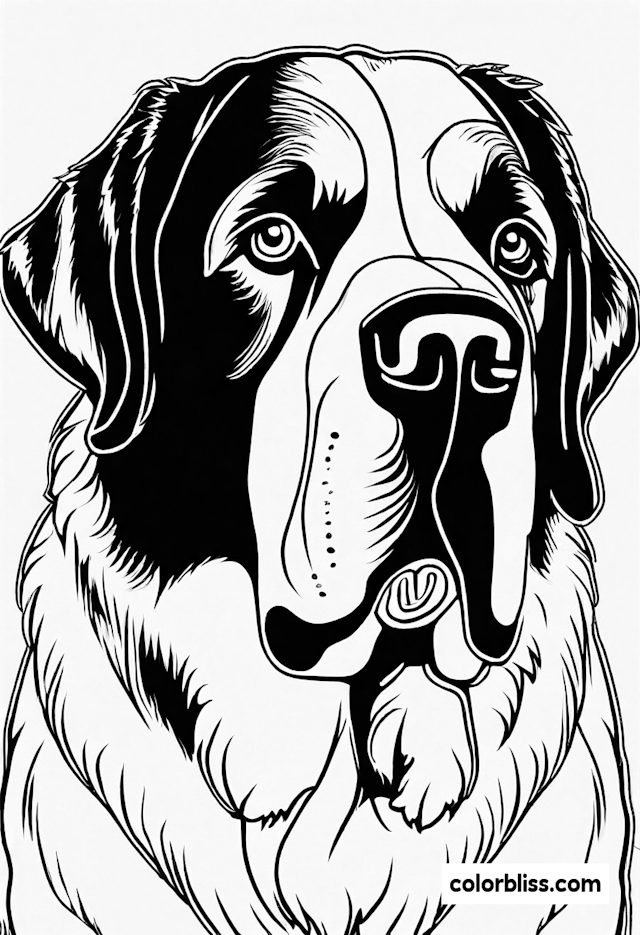 Saint Bernard Coloring Page