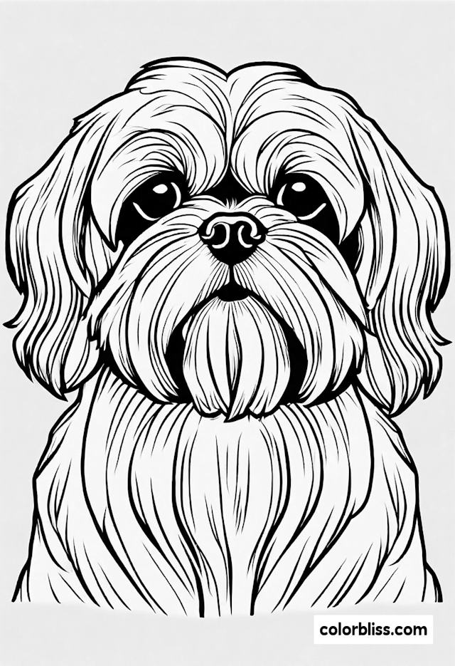 Adorable Shih Tzu Puppy Coloring Page