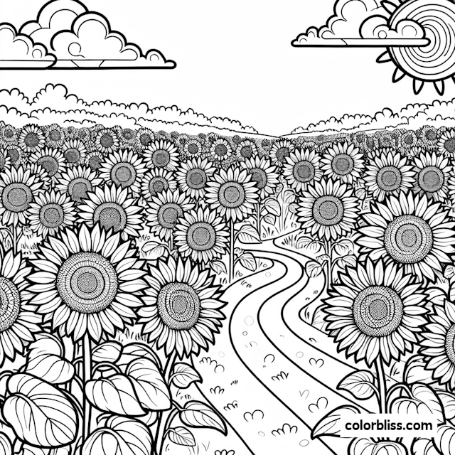 Sunflower Fields Pathway Coloring Page